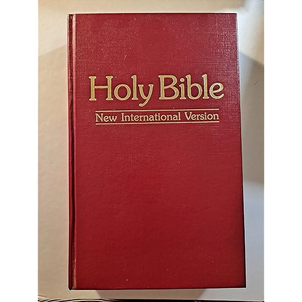 洋書 HOLY BIBLE NIV Pocket Cyan Soft-tone Bible with Zip (New International